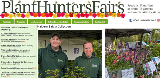 Plant Hunters Fairs and Malvern Salvia Collection